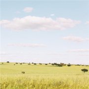 头像2023最火自然风景(45张)