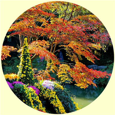 头像2023最火自然风景(45张)