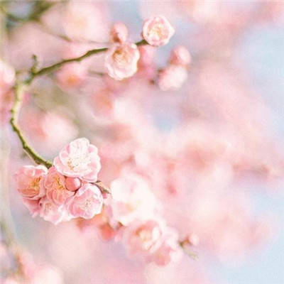 头像2023最火自然风景(45张)