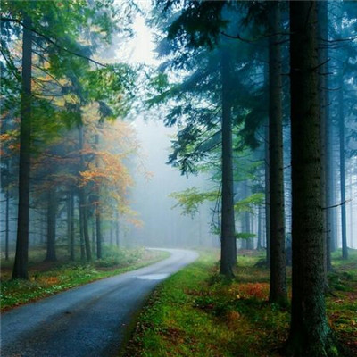 头像2023最火自然风景(45张)