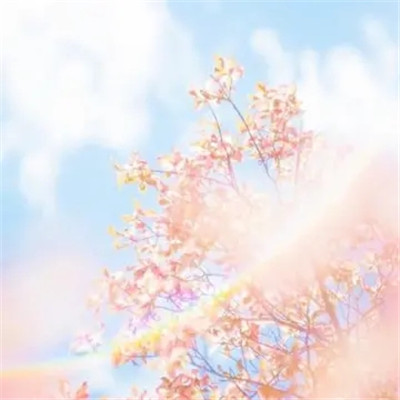 2023最火好看头像微信(50张)