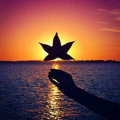 2023最火好看头像微信(50张)