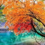 2023最火好看头像微信(50张)