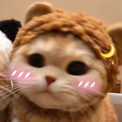 头像2023最火可爱动物(34张)