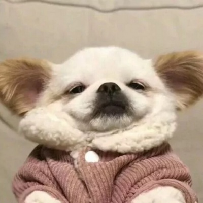 头像2023最火可爱动物(34张)