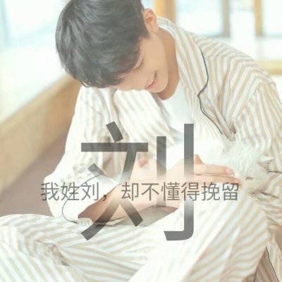 头像带刘图片2023最火爆(40张)