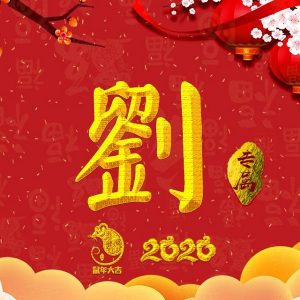 头像带刘图片2023最火爆(40张)