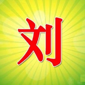 头像带刘图片2023最火爆(40张)