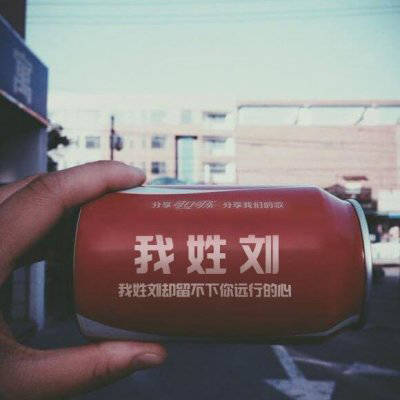 头像带刘图片2023最火爆(40张)