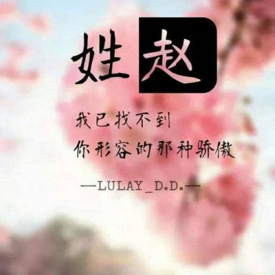 2023姓赵最火头像男(28张)