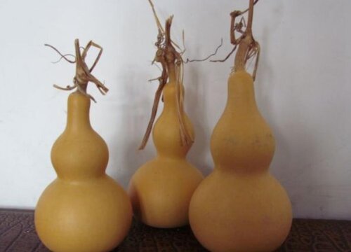 2023最火微信头像干净(51张)