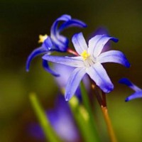 微信头像70后女人专用(精选26张)