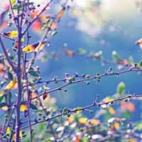 微信头像70后女人专用(精选26张)