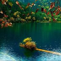 微信头像70后女人专用(精选26张)