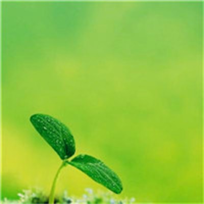 40岁女人头像有气质风景(51张)