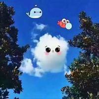 40岁女人头像有气质风景(51张)