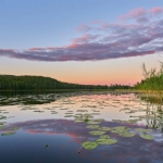 40岁女人头像有气质风景(51张)