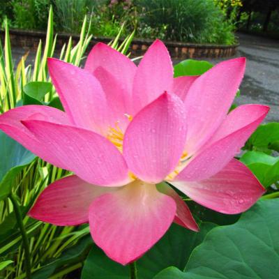 好看的80后头像图片(26张)