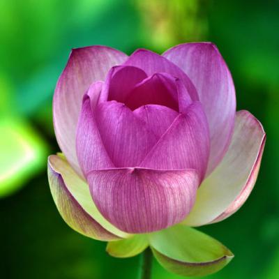 好看的80后头像图片(26张)