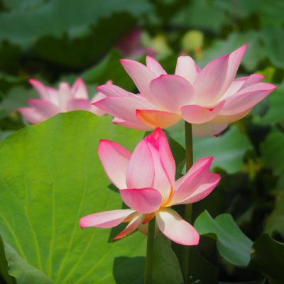 好看的80后头像图片(26张)