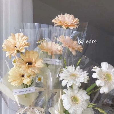 可以一辈子不换的头像(精选24张)