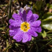 可以一辈子不换的头像(精选24张)