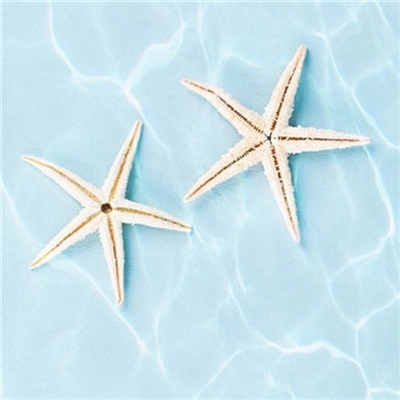 好看独特的微信头像简单(22张)