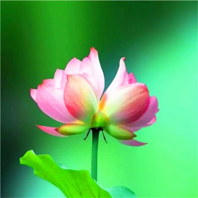 2023男人带好运最火头像风景(58张)