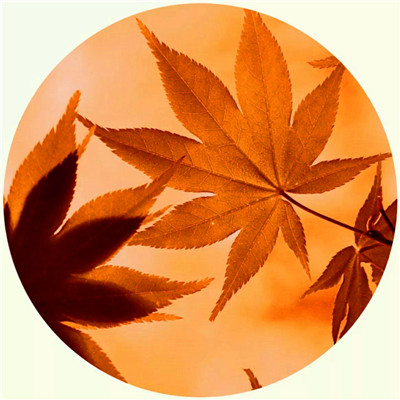 2023男人带好运最火头像风景(58张)