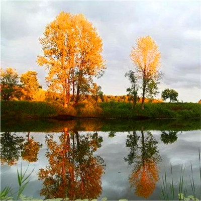 2023男人带好运最火头像风景(58张)