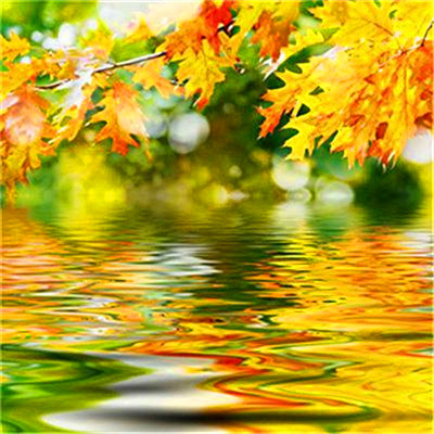 2023最带财运的微信头像(精选47张)