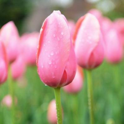 女人旺财又健康的头像2023年(精选34张)