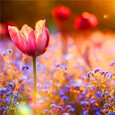 女人旺财又健康的头像2023年(精选34张)