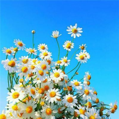 女人旺财又健康的头像2023年(精选34张)