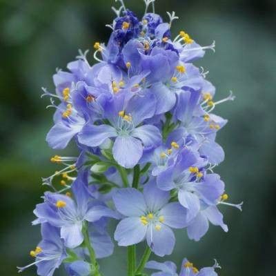 女人旺财又健康的头像2023年(精选34张)