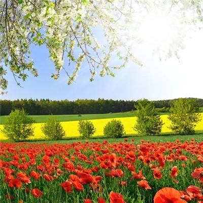 女人旺财又健康的头像2023年(精选34张)