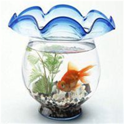 顶级微信风水头像推荐(精选36张)