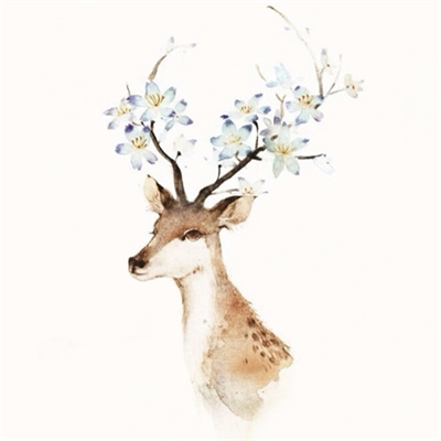 顶级微信风水头像推荐(精选36张)