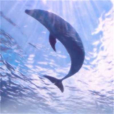 顶级微信风水头像推荐(精选36张)