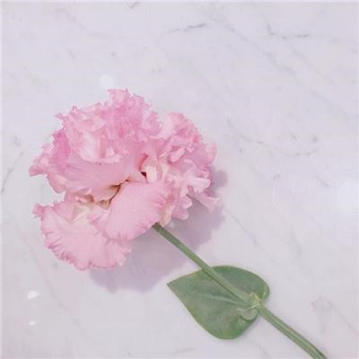 2023年自带好运头像女(精选32张)