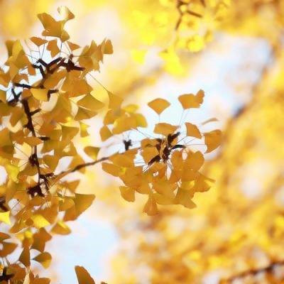 2023年自带好运头像女(精选32张)