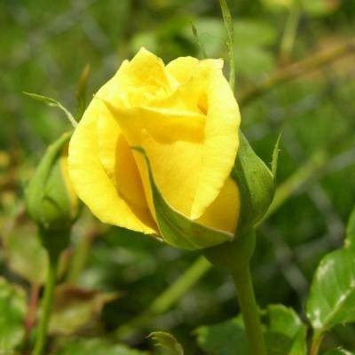 给女人带来好运的头像2023(34张)