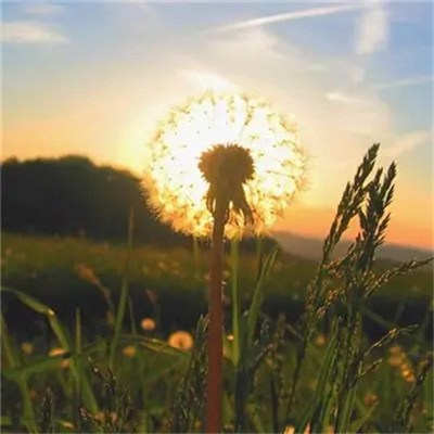 给女人带来好运的头像2023(34张)