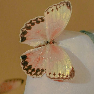 给女人带来好运的头像2023(34张)