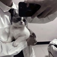 成熟男士专用抖音头像(37张)