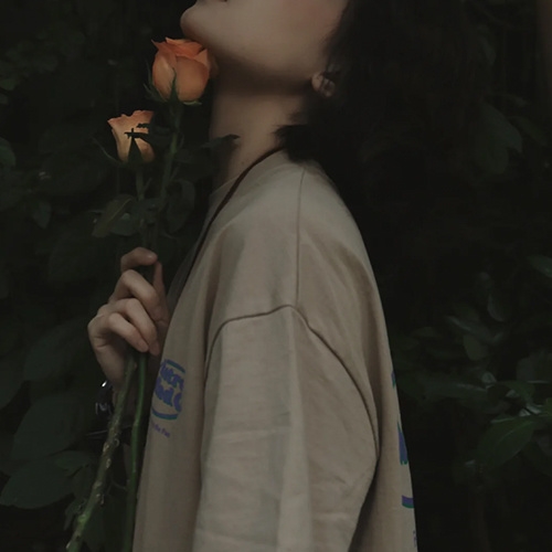 女生喜欢的头像图片(24张)