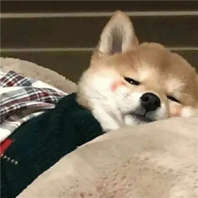 摆烂头像图片2023最火爆女生