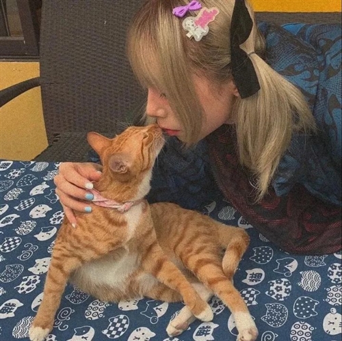 图片壁纸2023最火女生头像