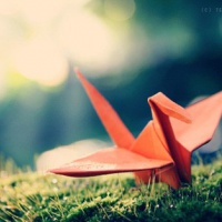 头像2023最火好看微信图片