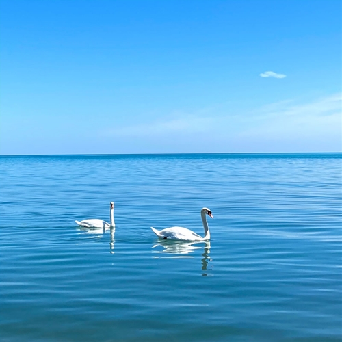 头像2023最火好看微信图片